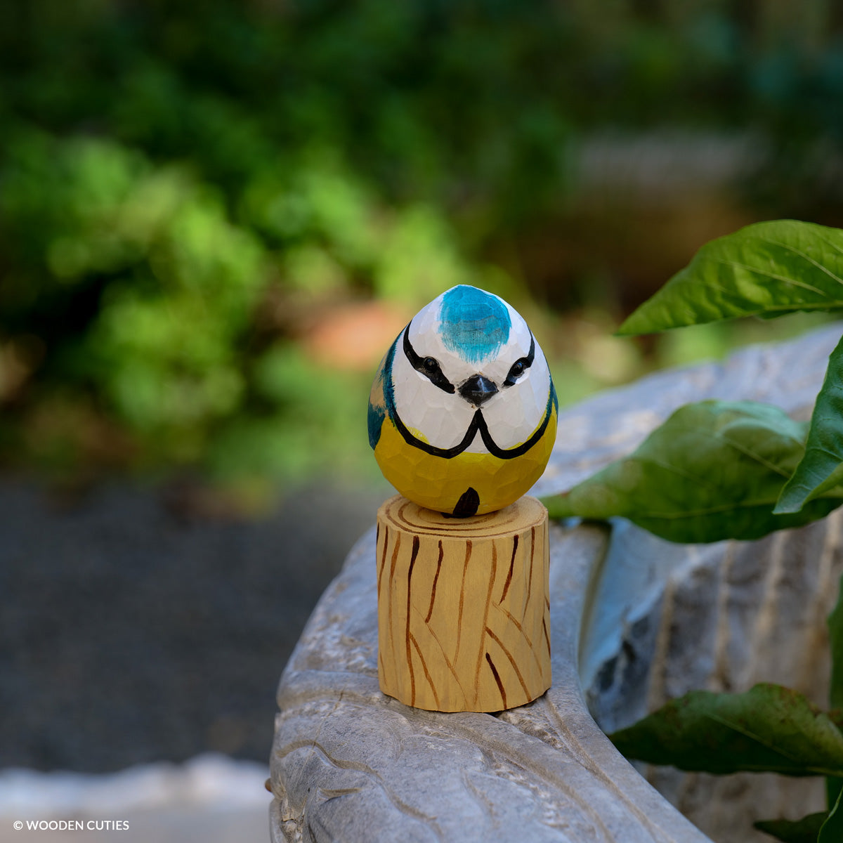 Blue Tit