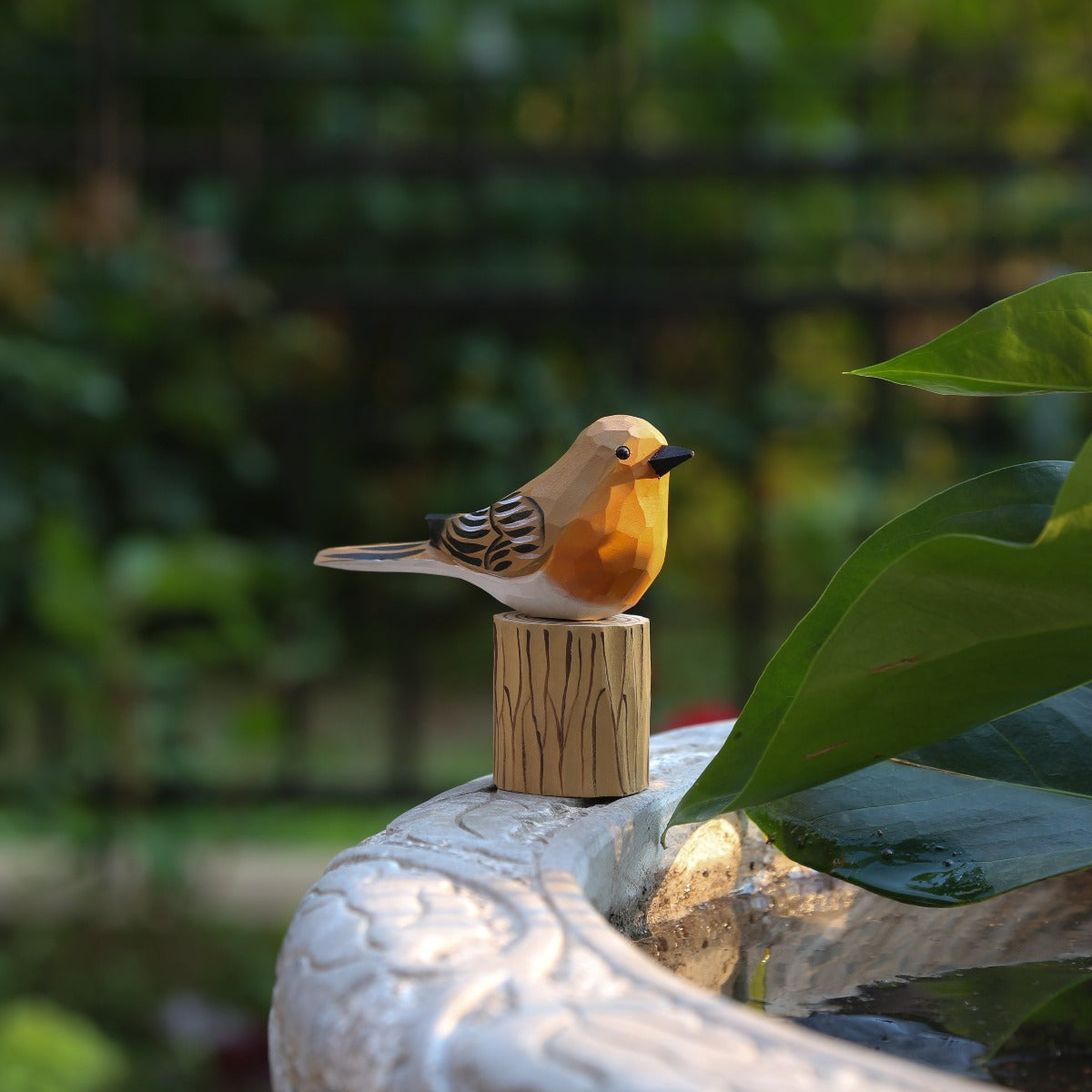 Male and Female Robins Set