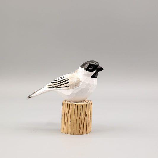 Black-Capped Chickadee