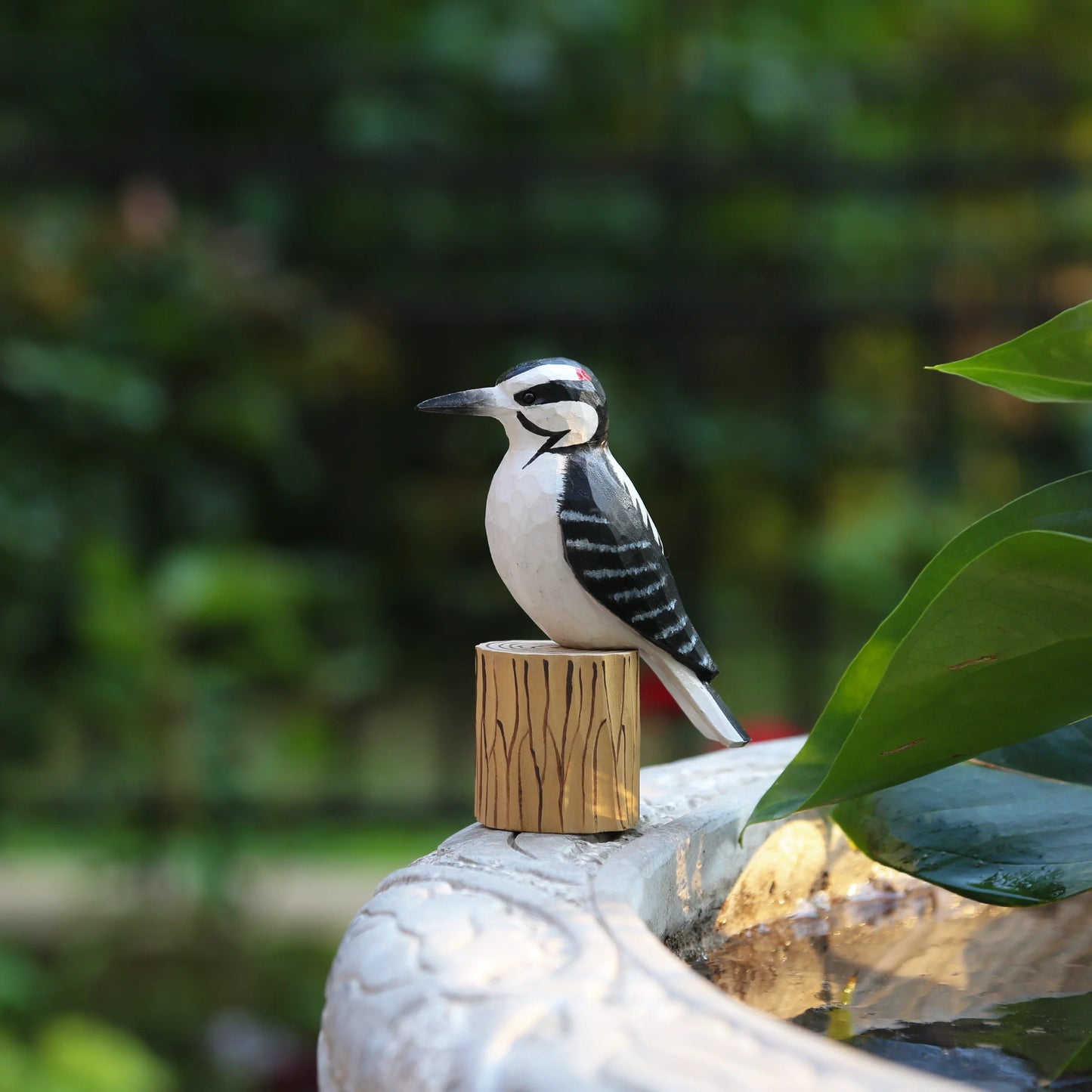 Woodpecker