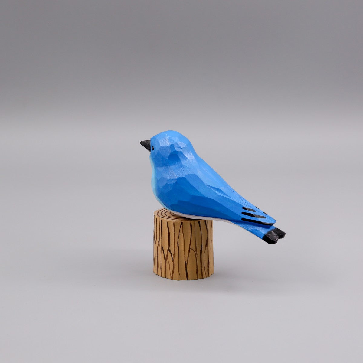 Mountain Bluebird