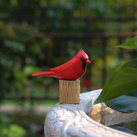 Male Cardinal