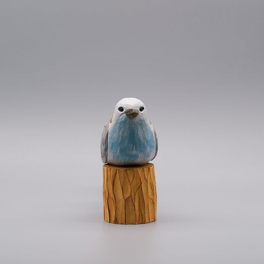 Classic Flycatcher