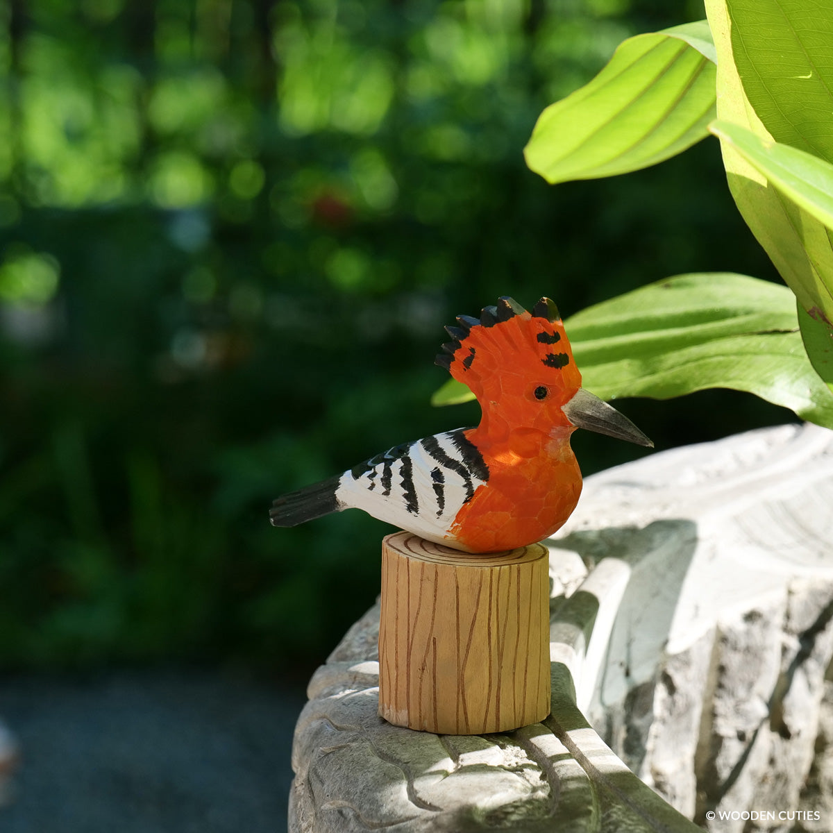 Hoopoe