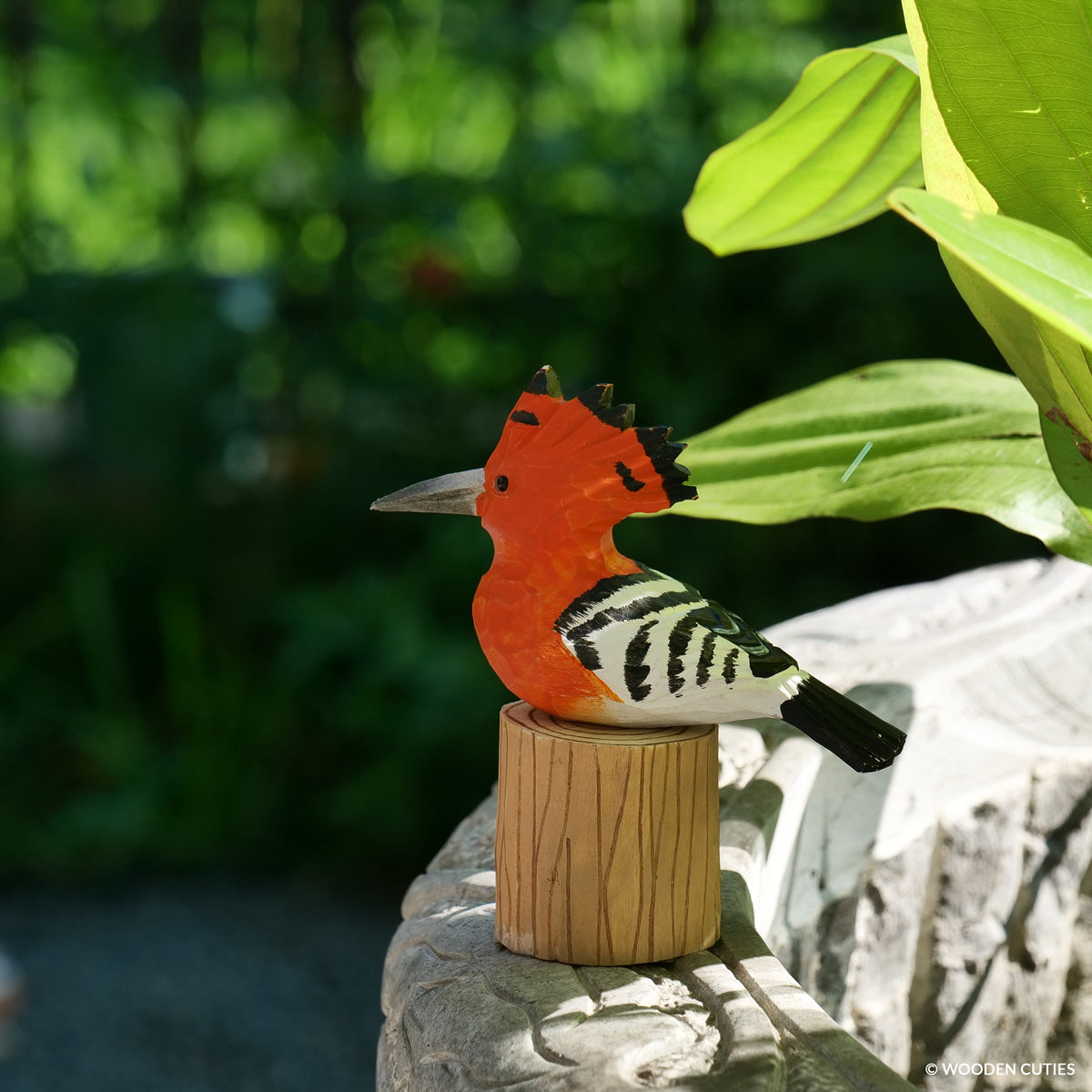 Hoopoe