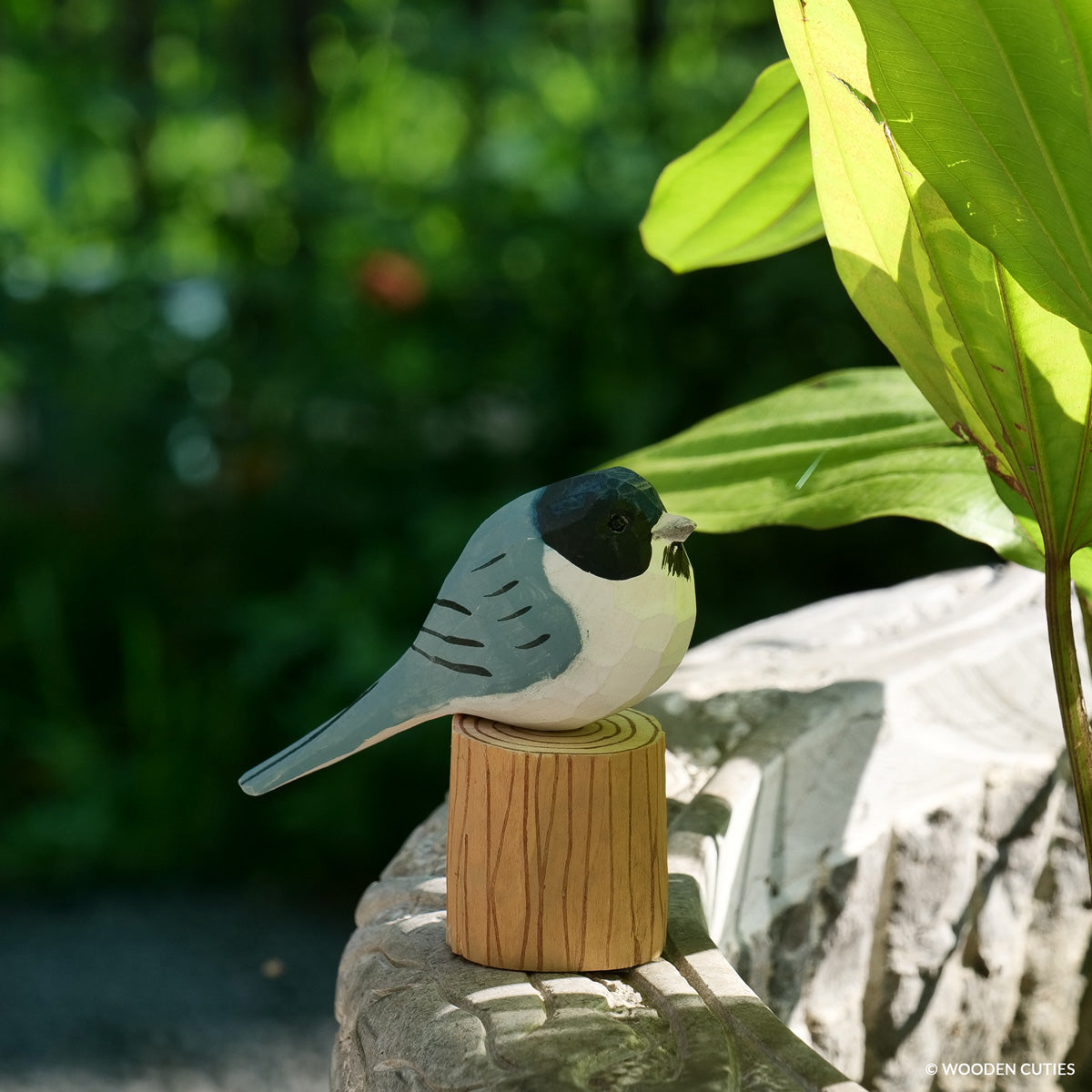 Chickadee