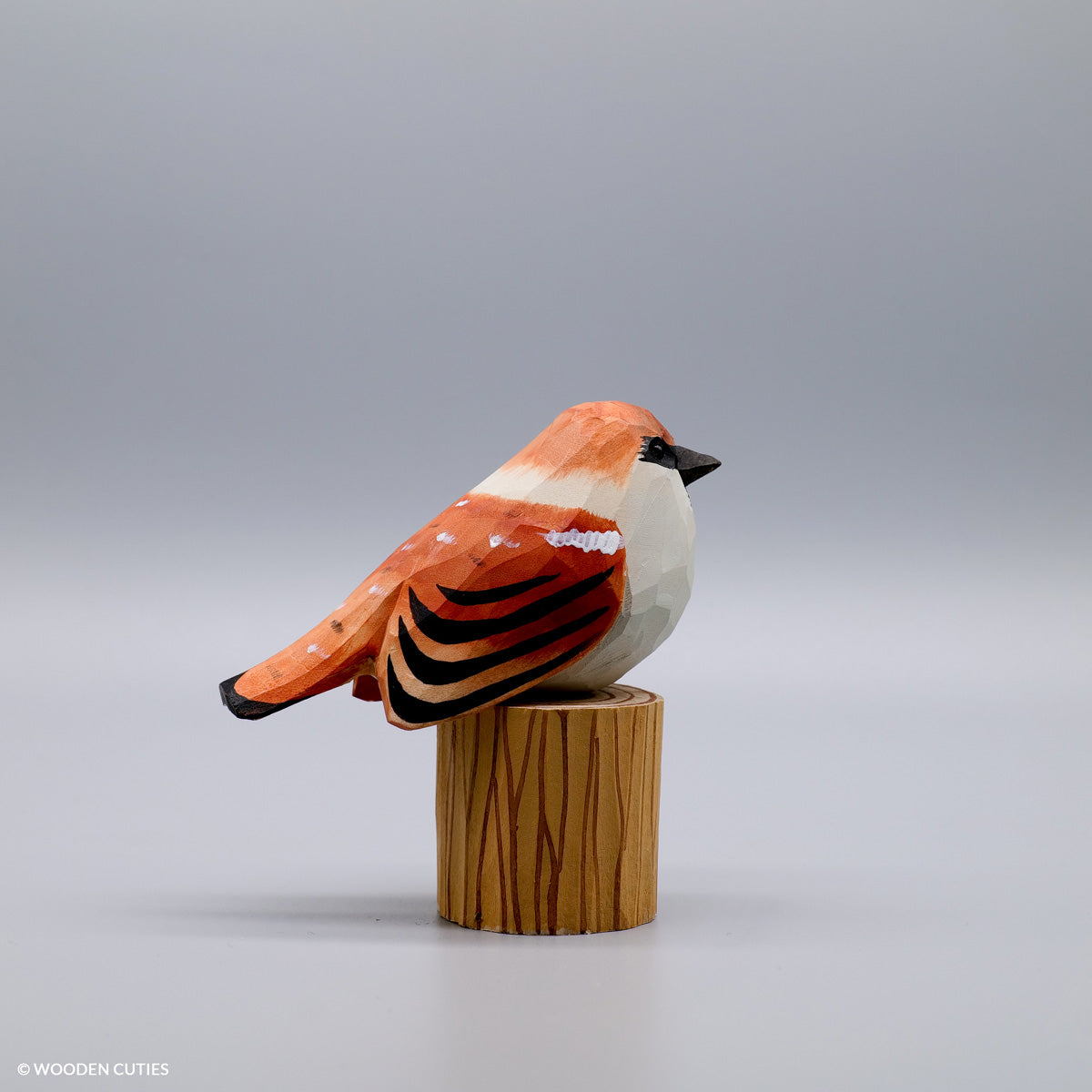 Sparrow