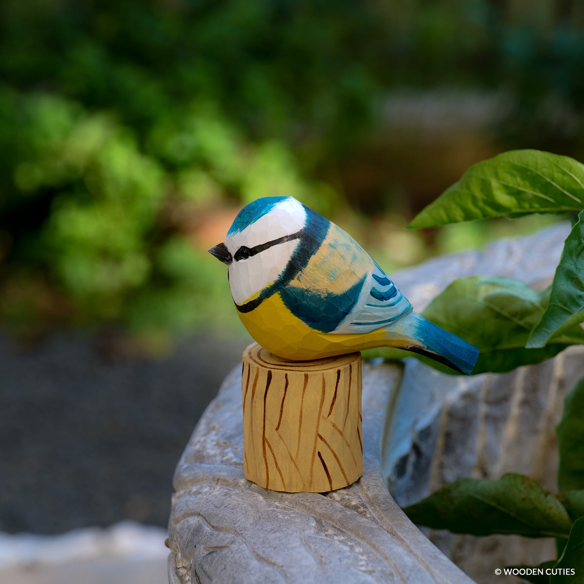 Blue Tit