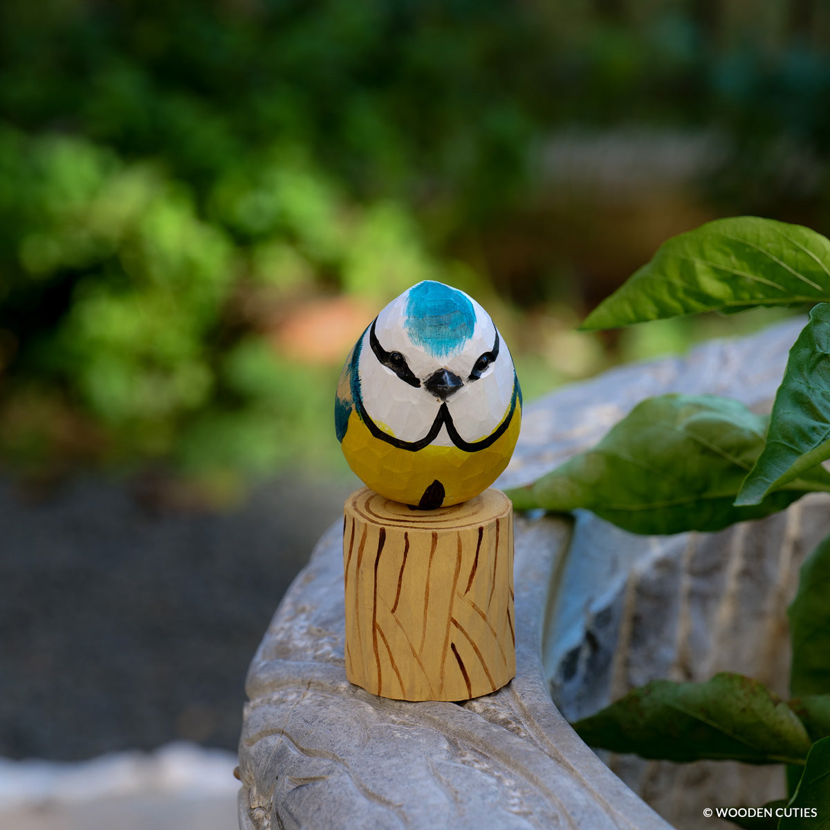 Blue Tit