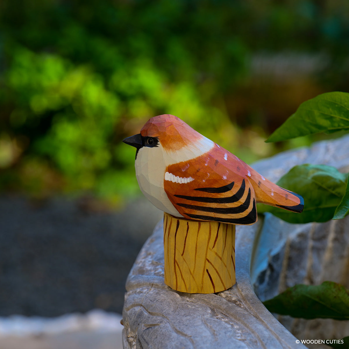 Sparrow