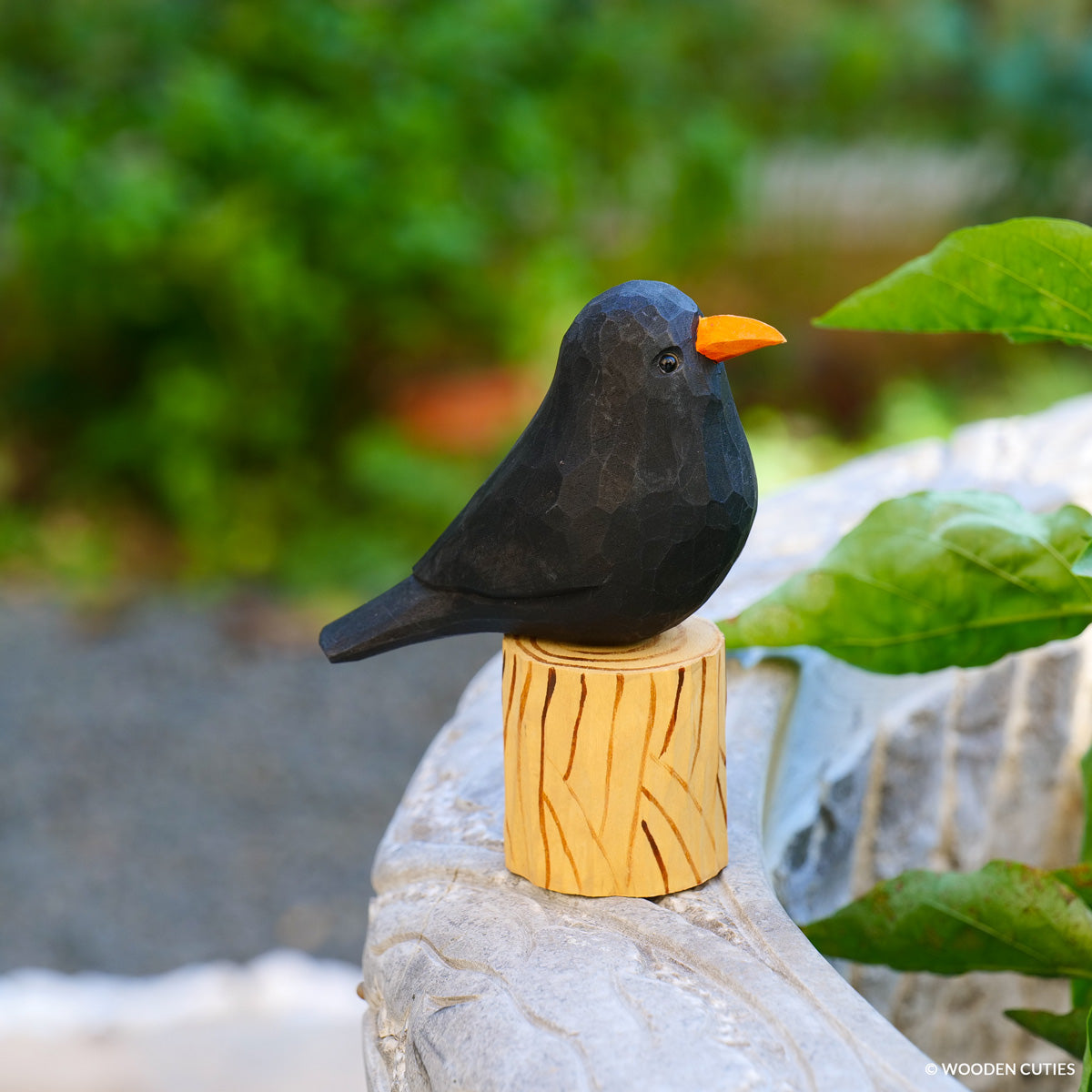 Blackbird