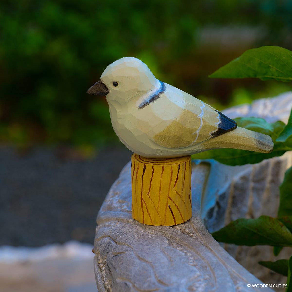 Dove