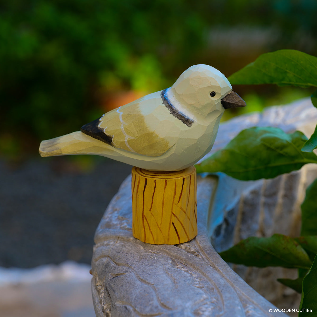 Dove