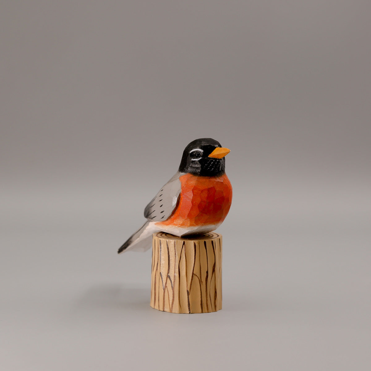 American Robin