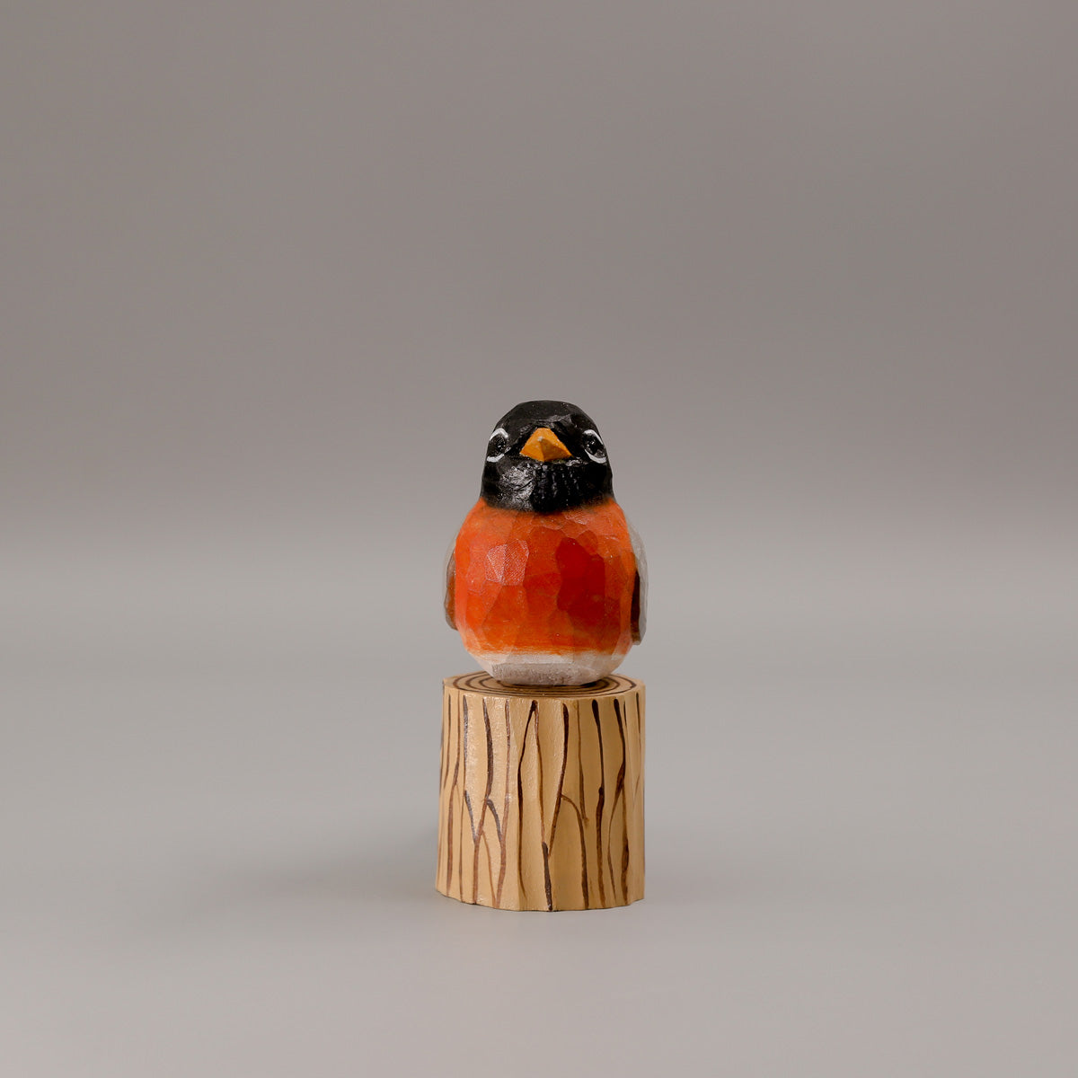 American Robin