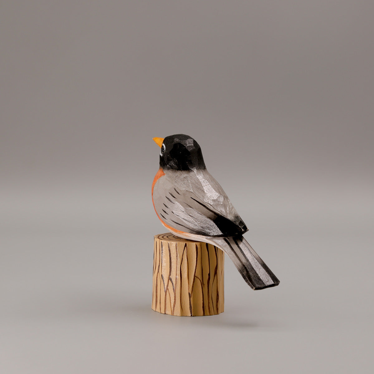 American Robin