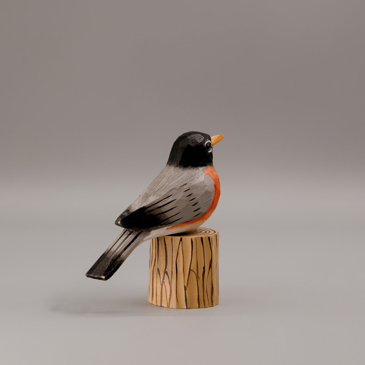 American Robin