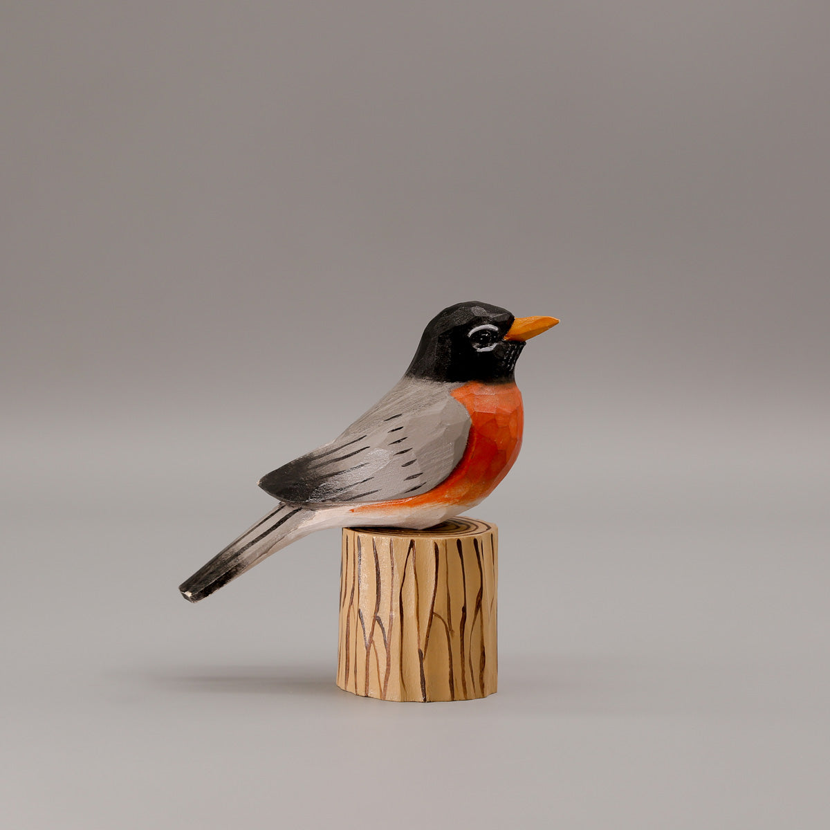 American Robin