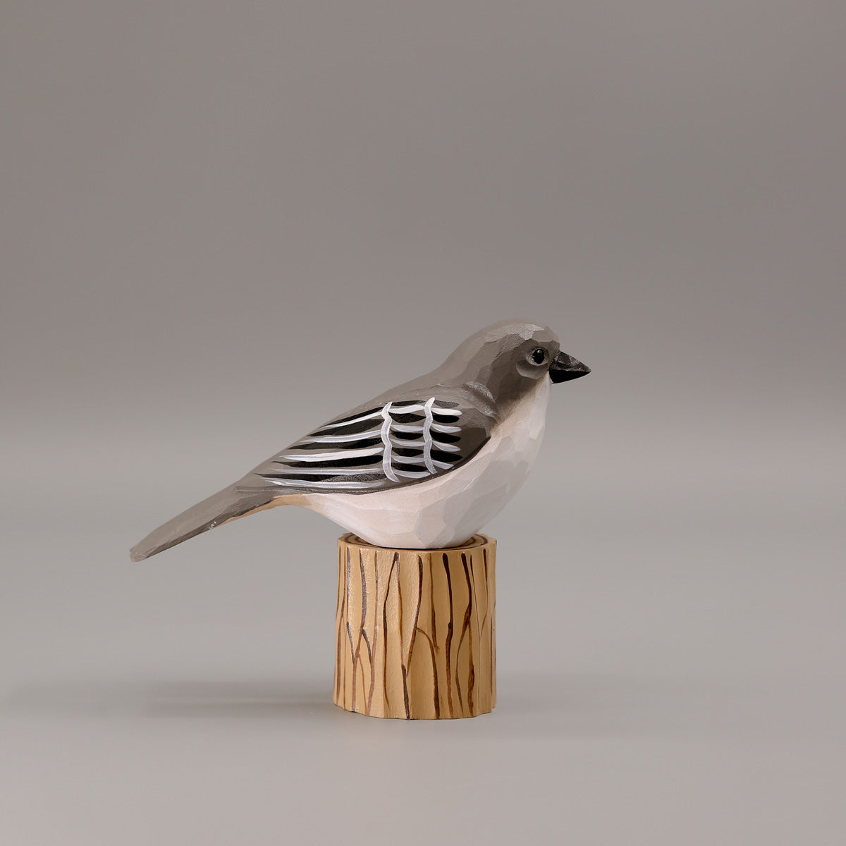 Northern Mockingbird