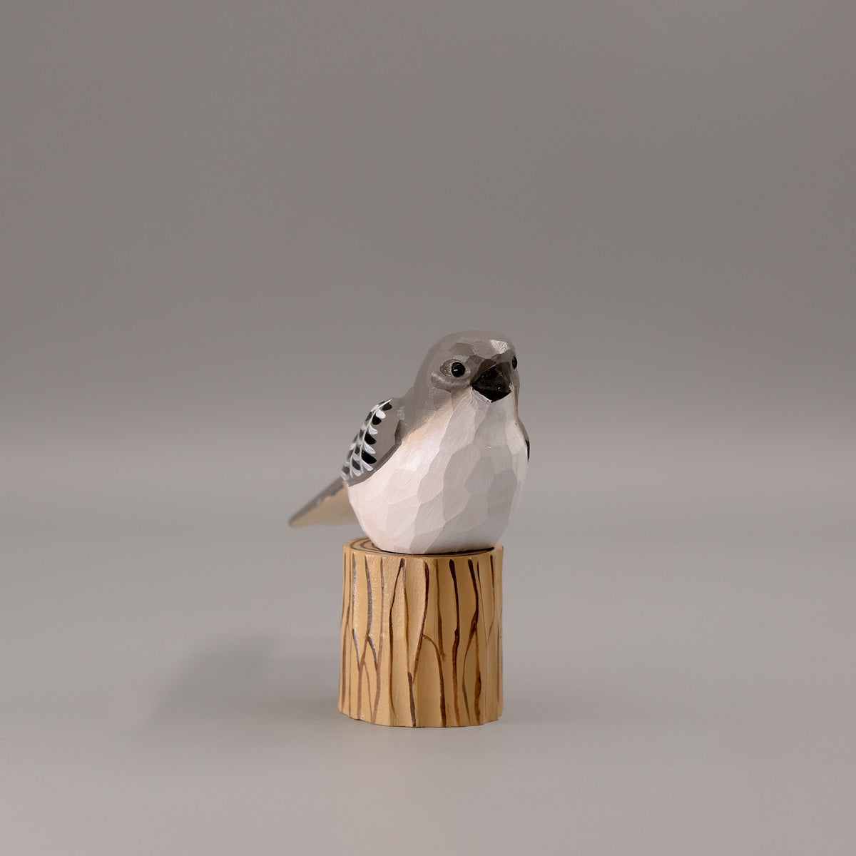 Northern Mockingbird