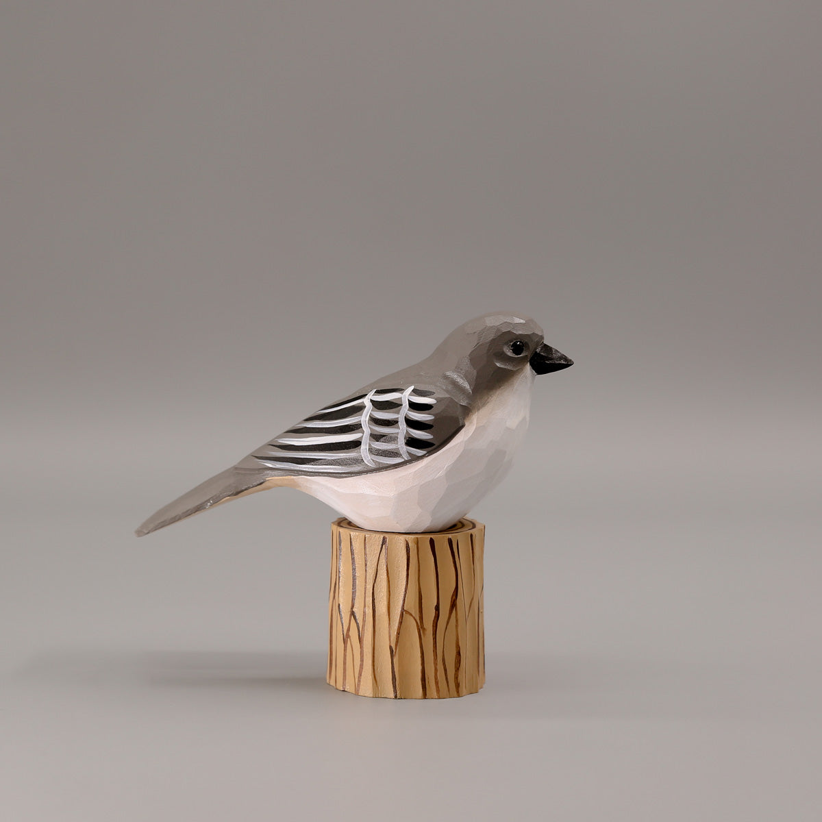 Northern Mockingbird