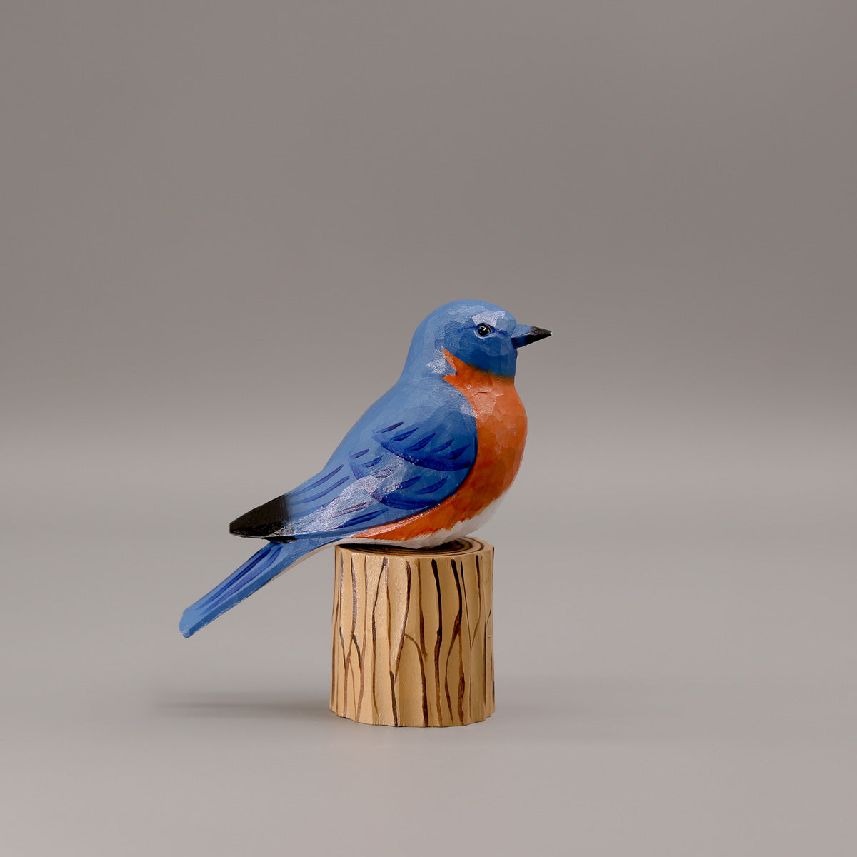 Eastern Bluebird