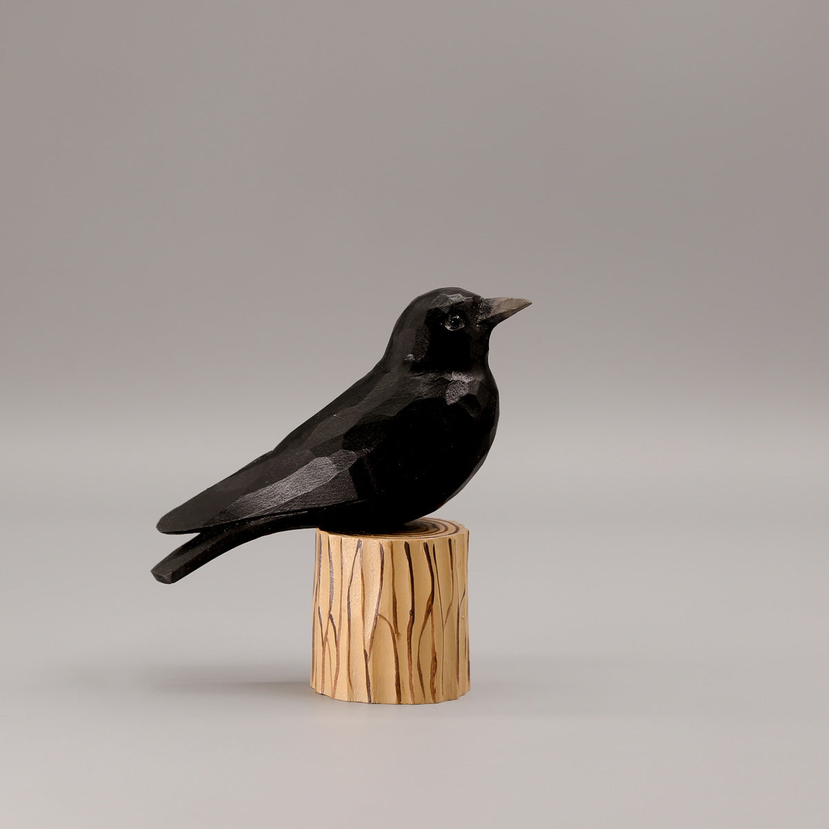 Set of 20 Birds