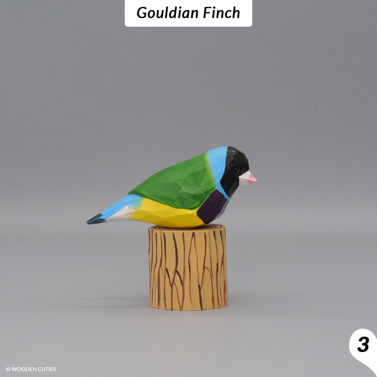 Set of 10 Birds