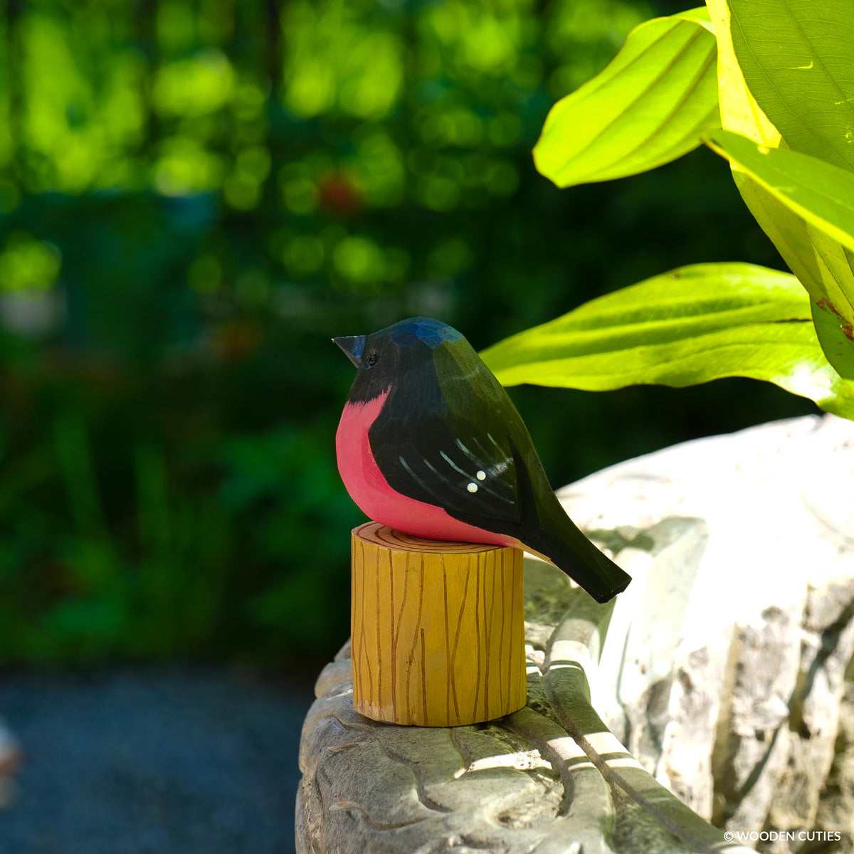 Pink Robin