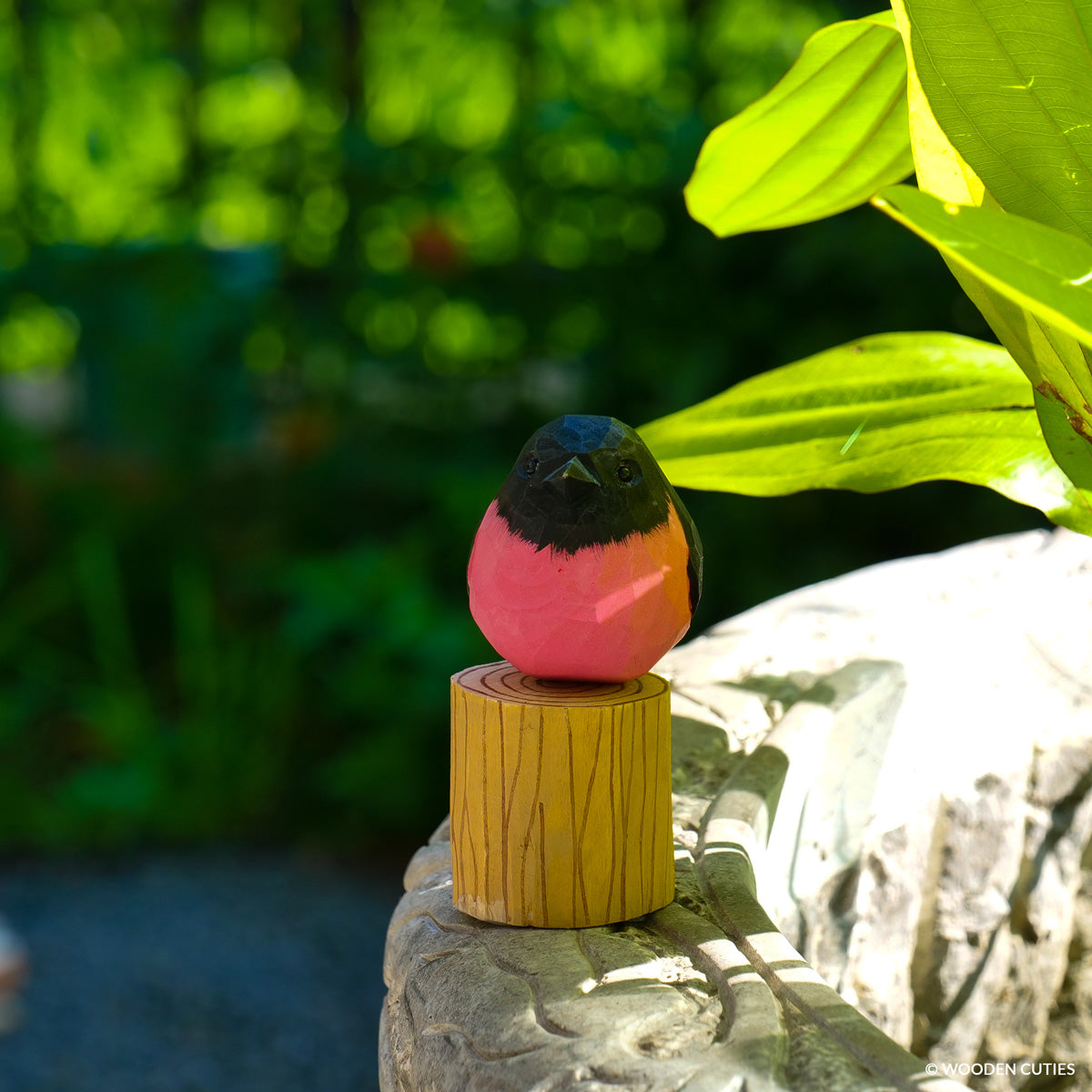 Pink Robin