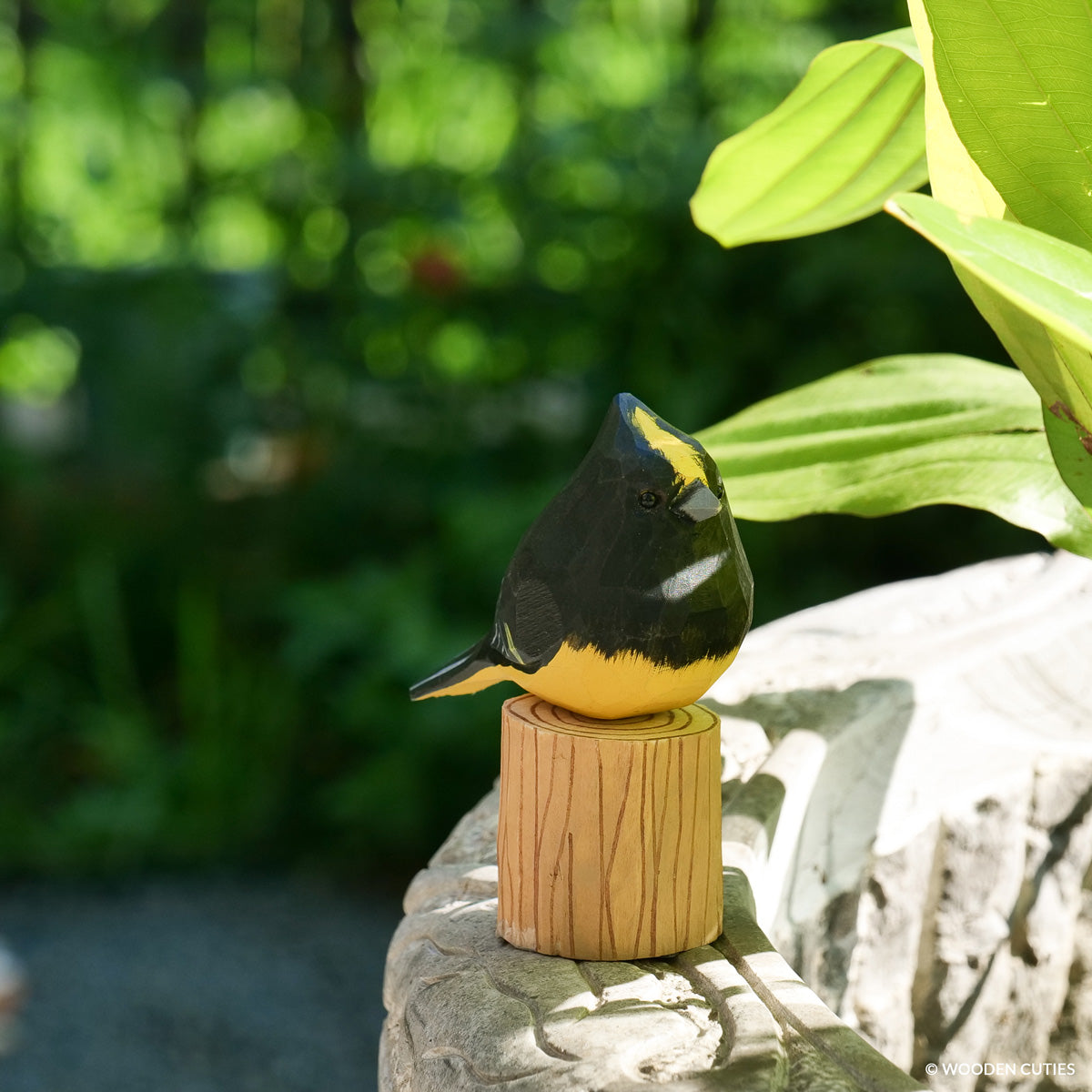 Sultan Tit