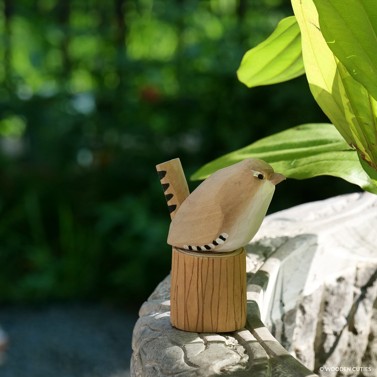 Wren