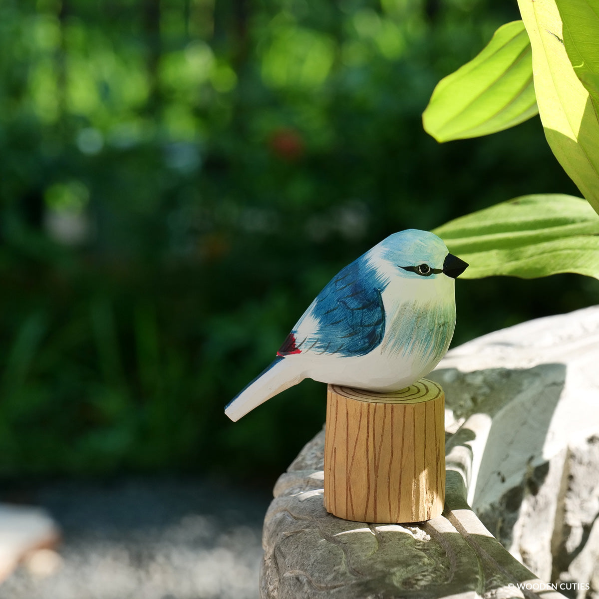 Blue Jay