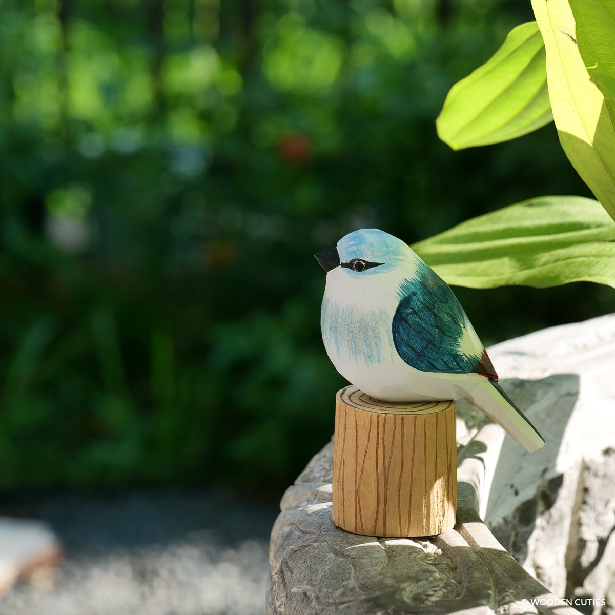 Blue Jay