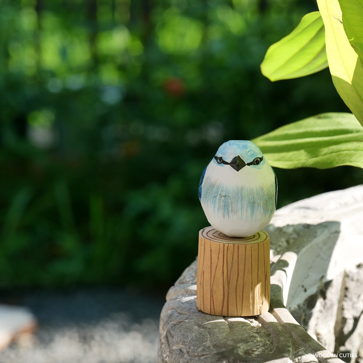 Blue Jay