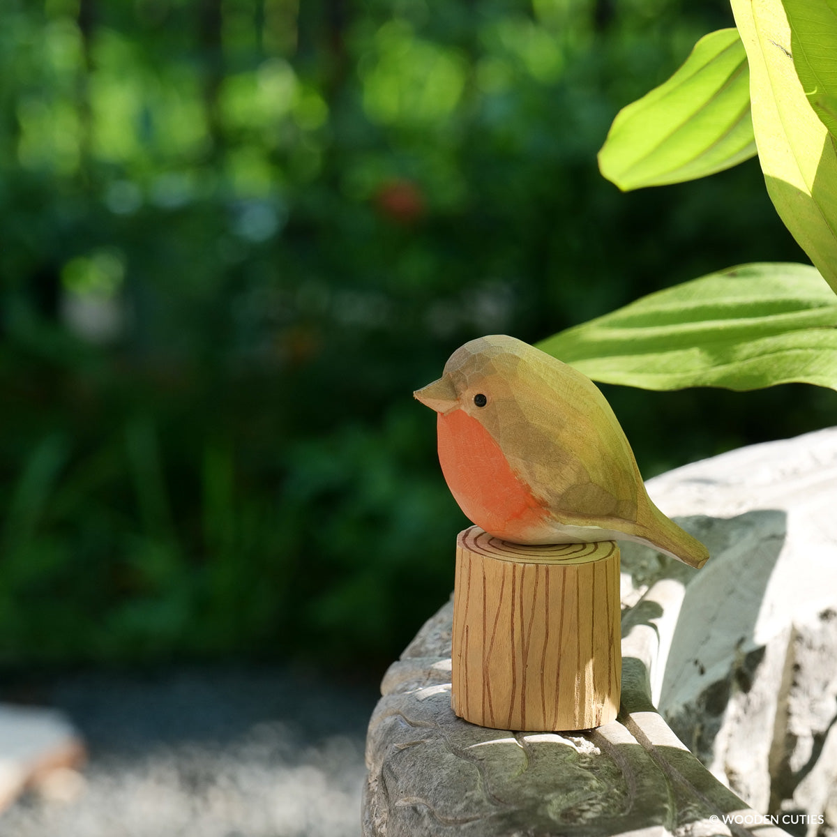 Robin