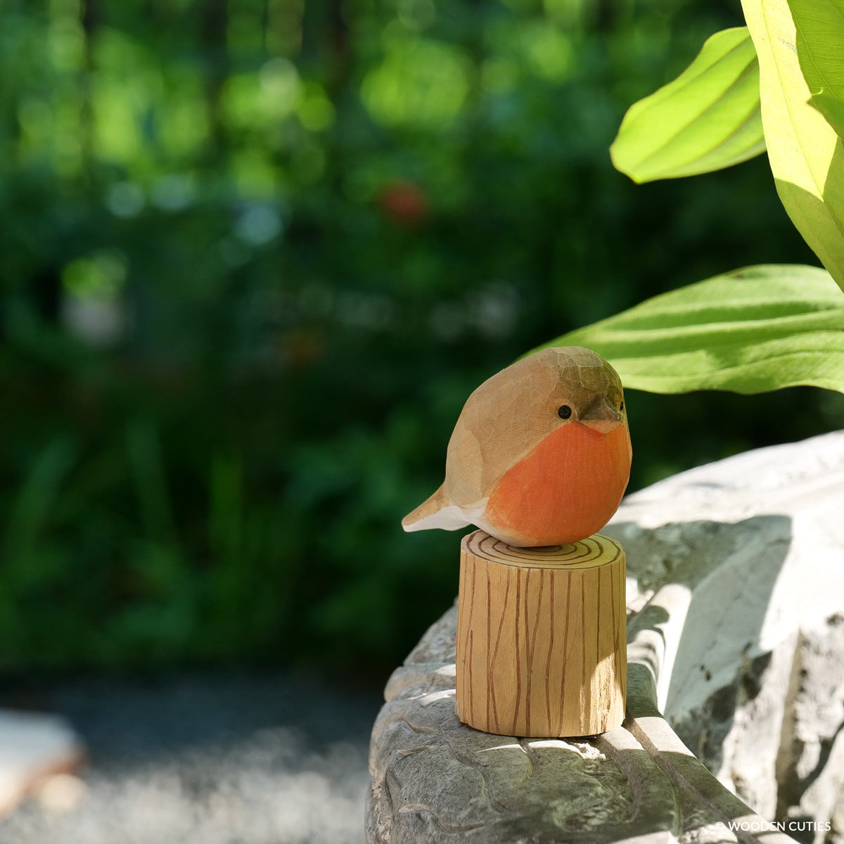 Robin