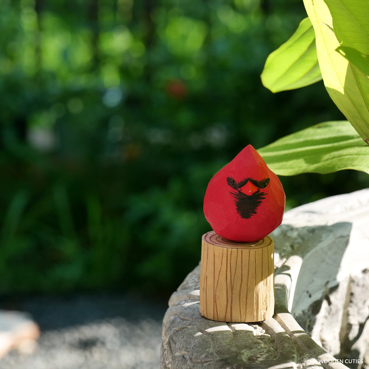 Male Cardinal