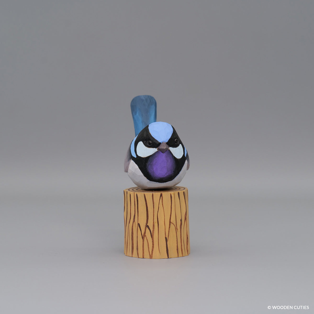 Superb Fairywren