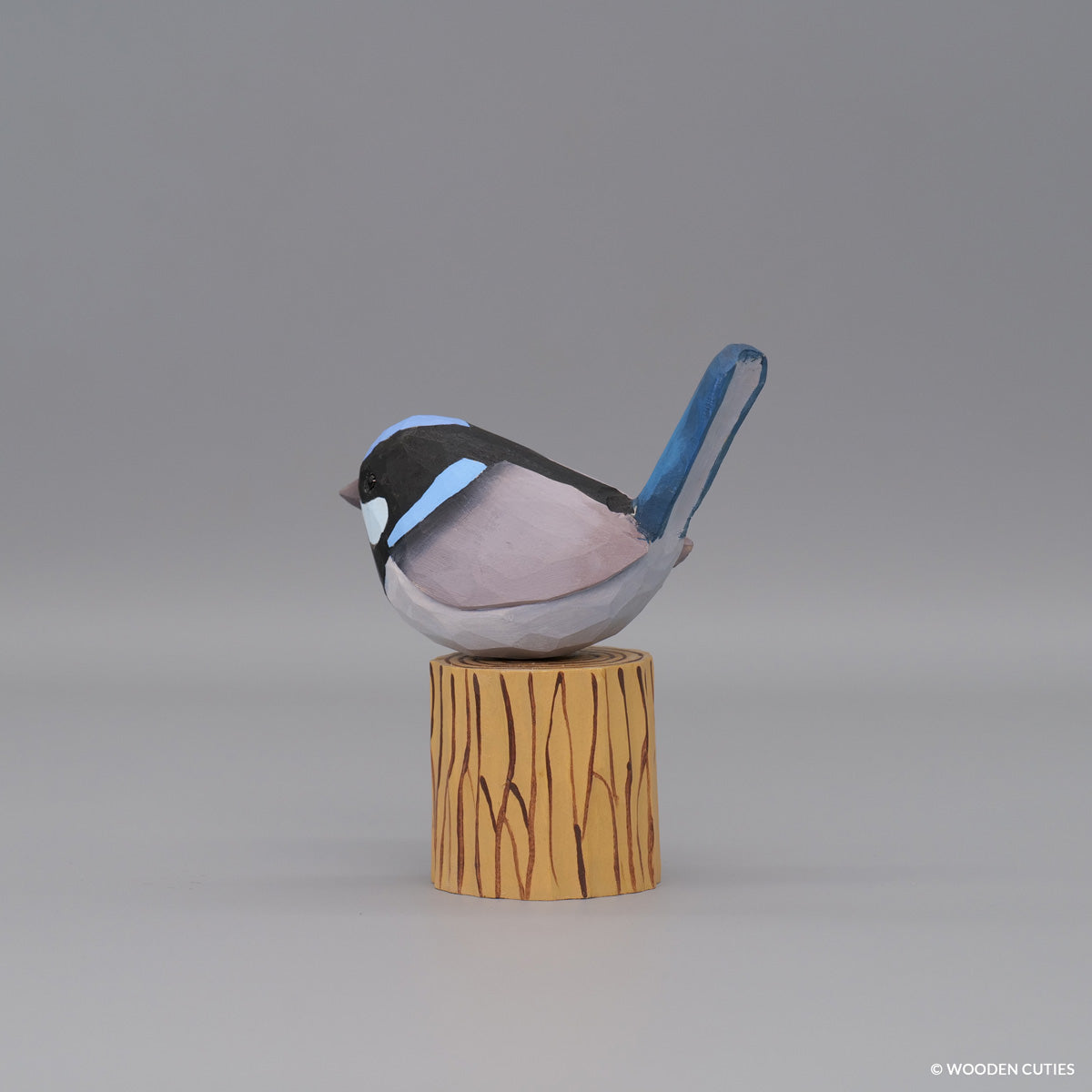 Superb Fairywren
