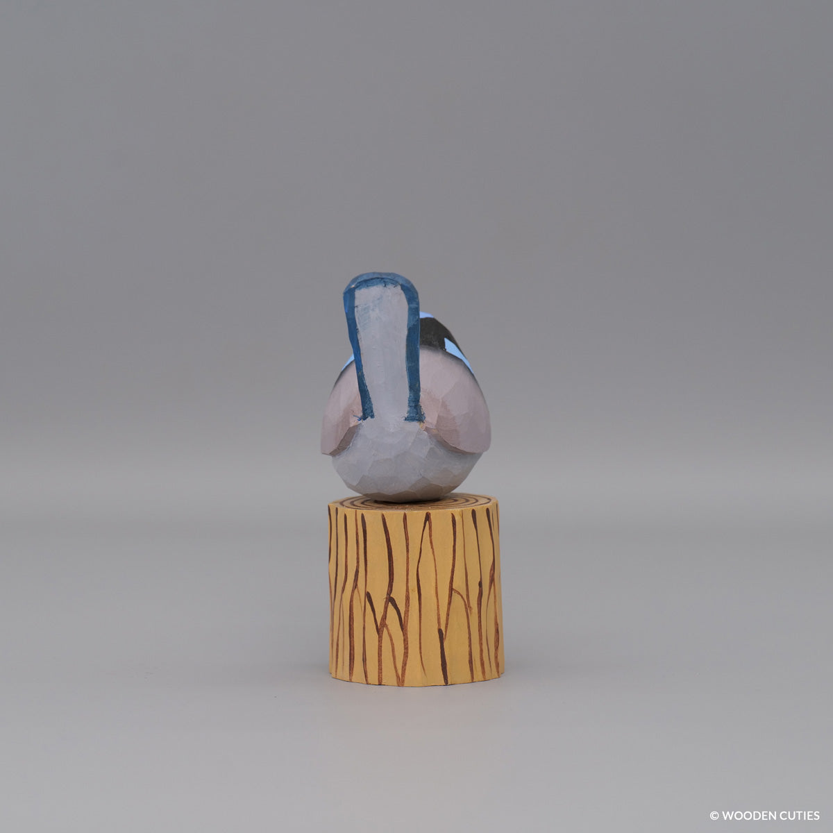Superb Fairywren