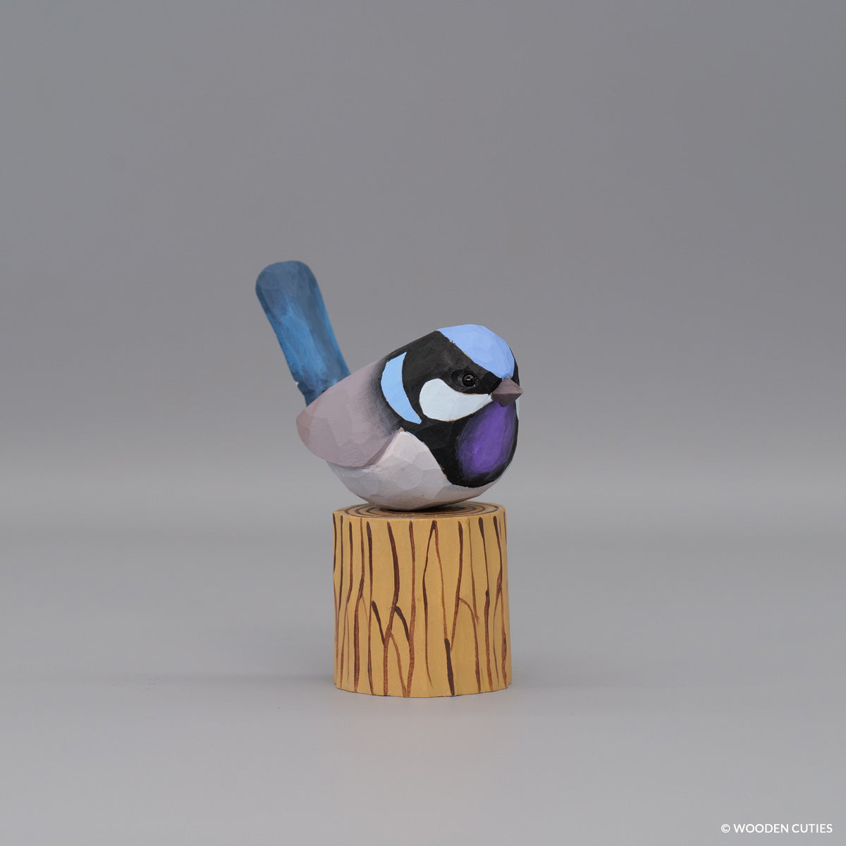 Superb Fairywren