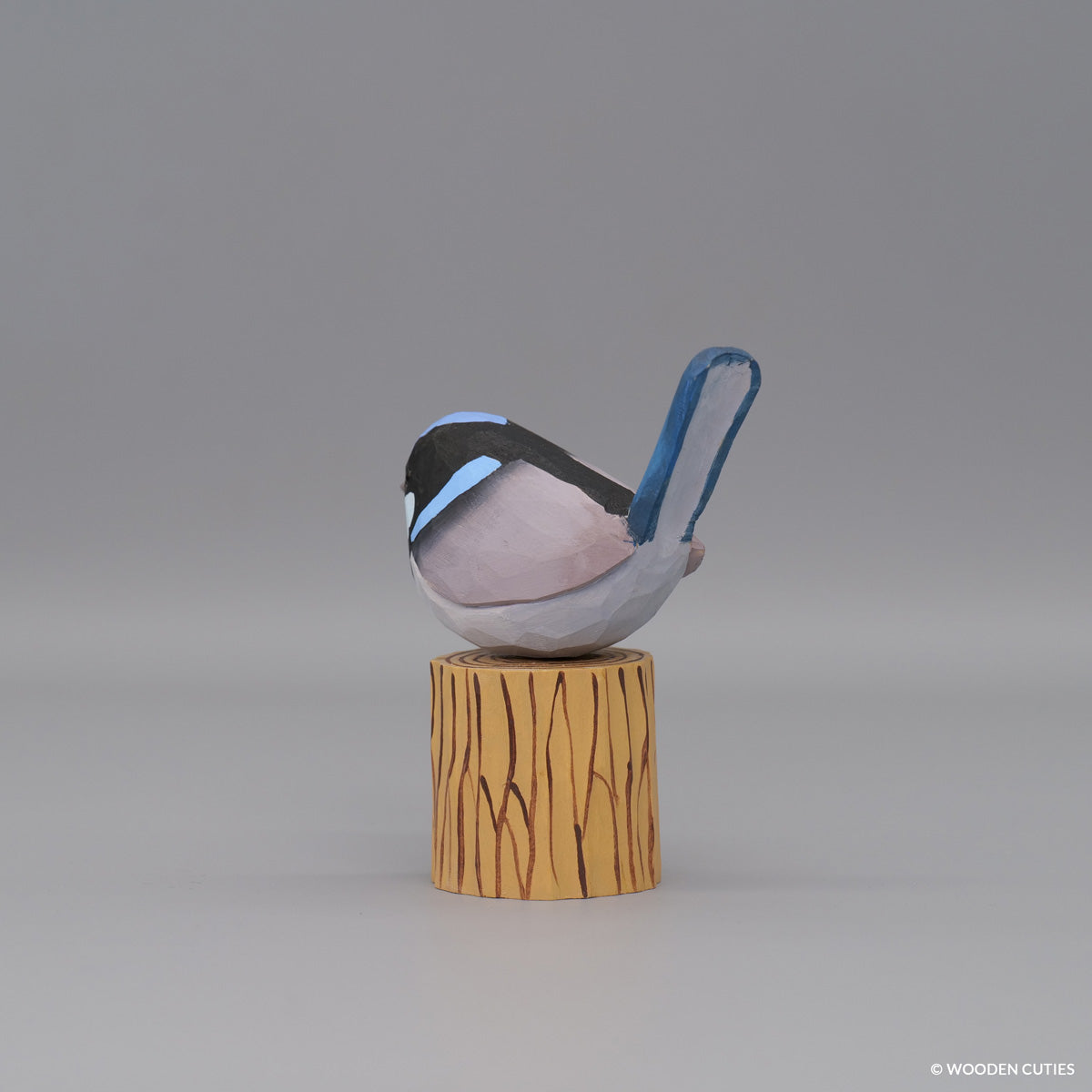 Superb Fairywren