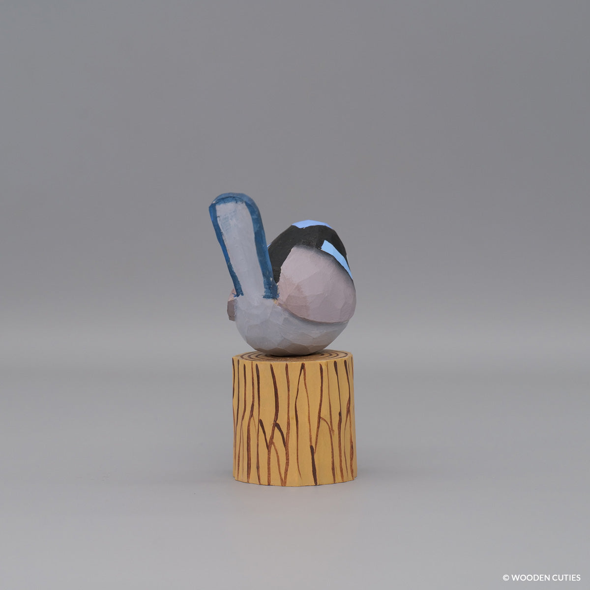 Superb Fairywren