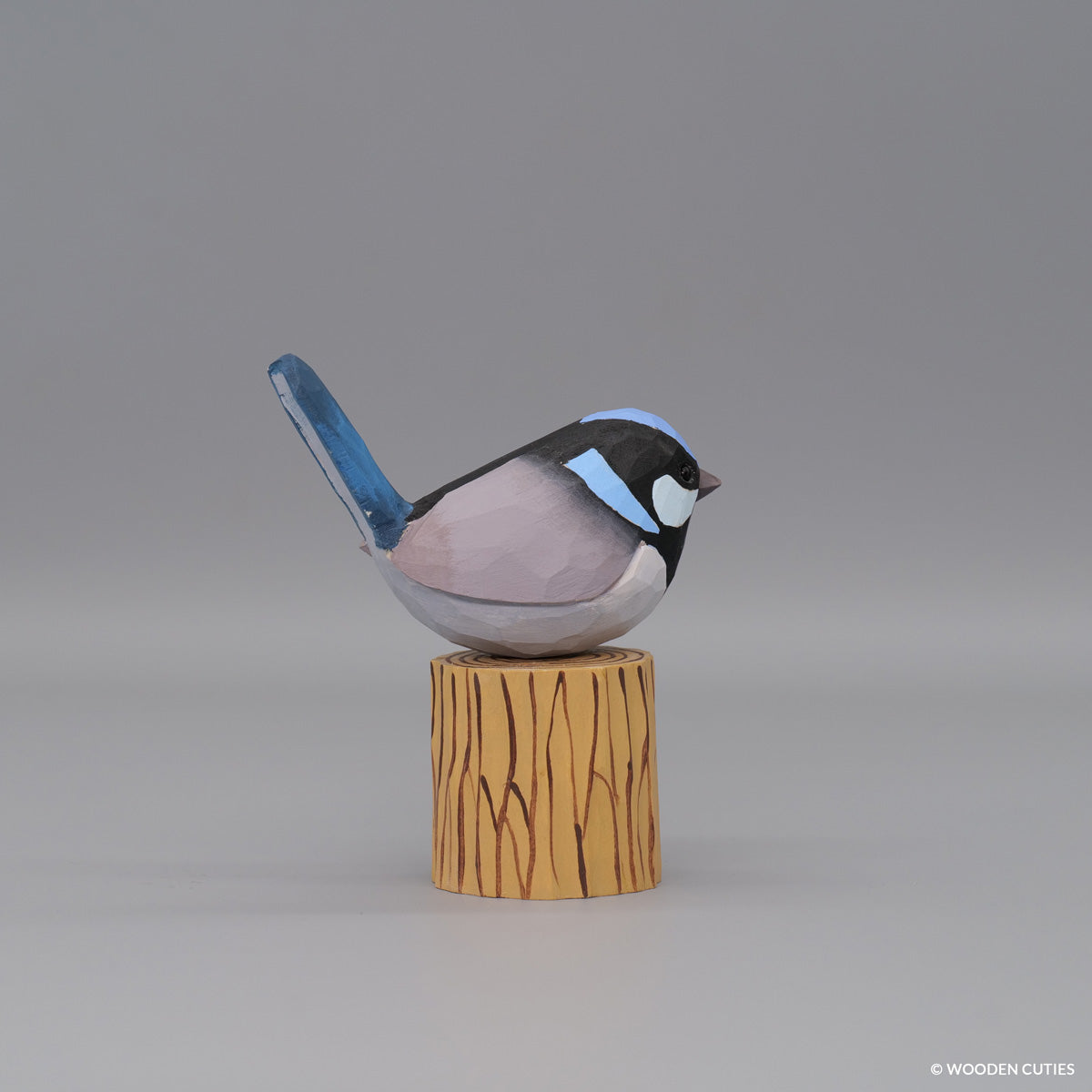 Superb Fairywren