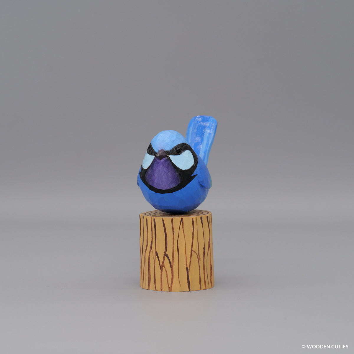 Splendid Fairywren
