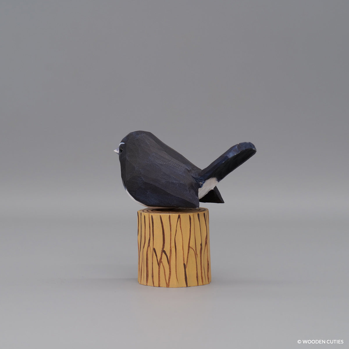 Willie Wagtail
