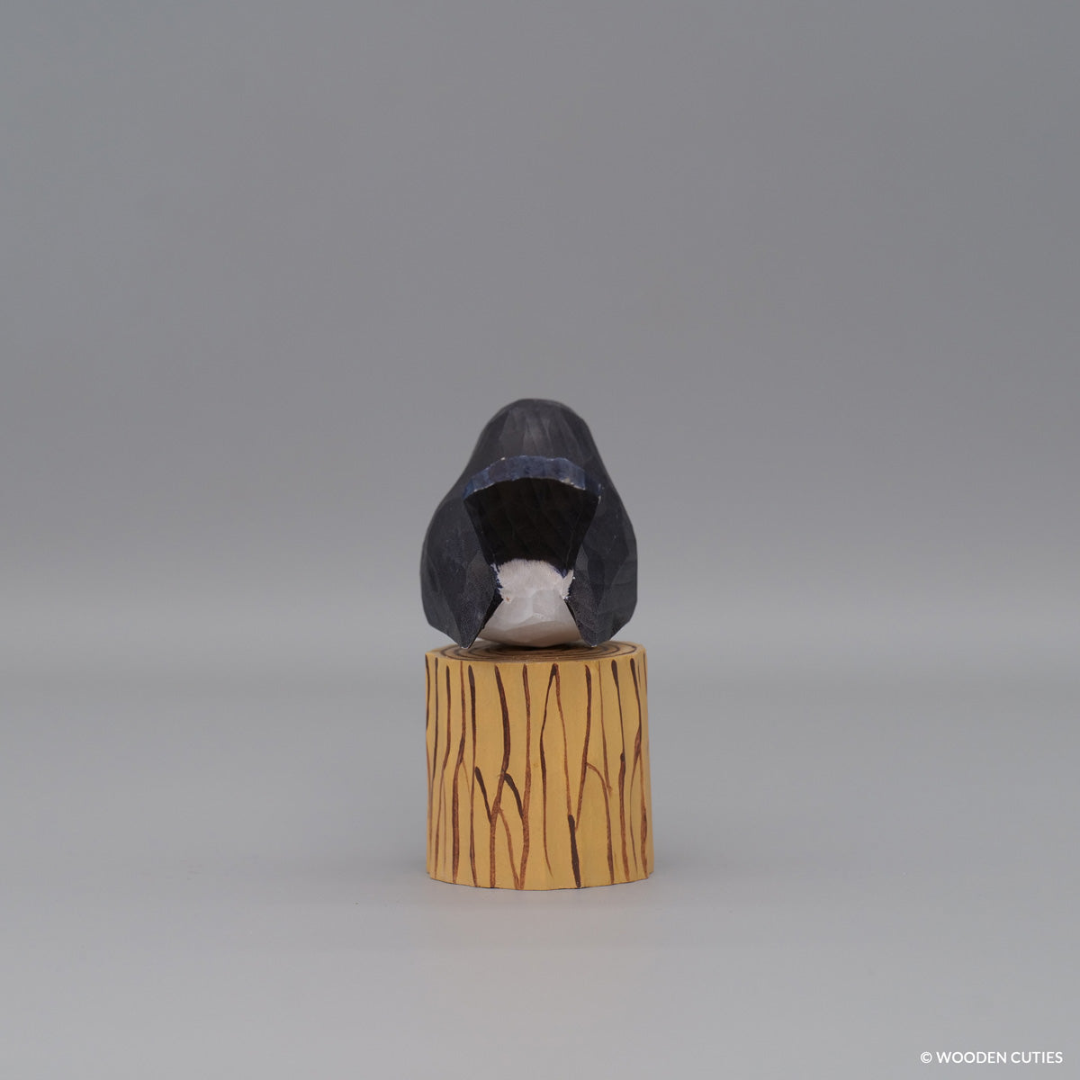 Willie Wagtail