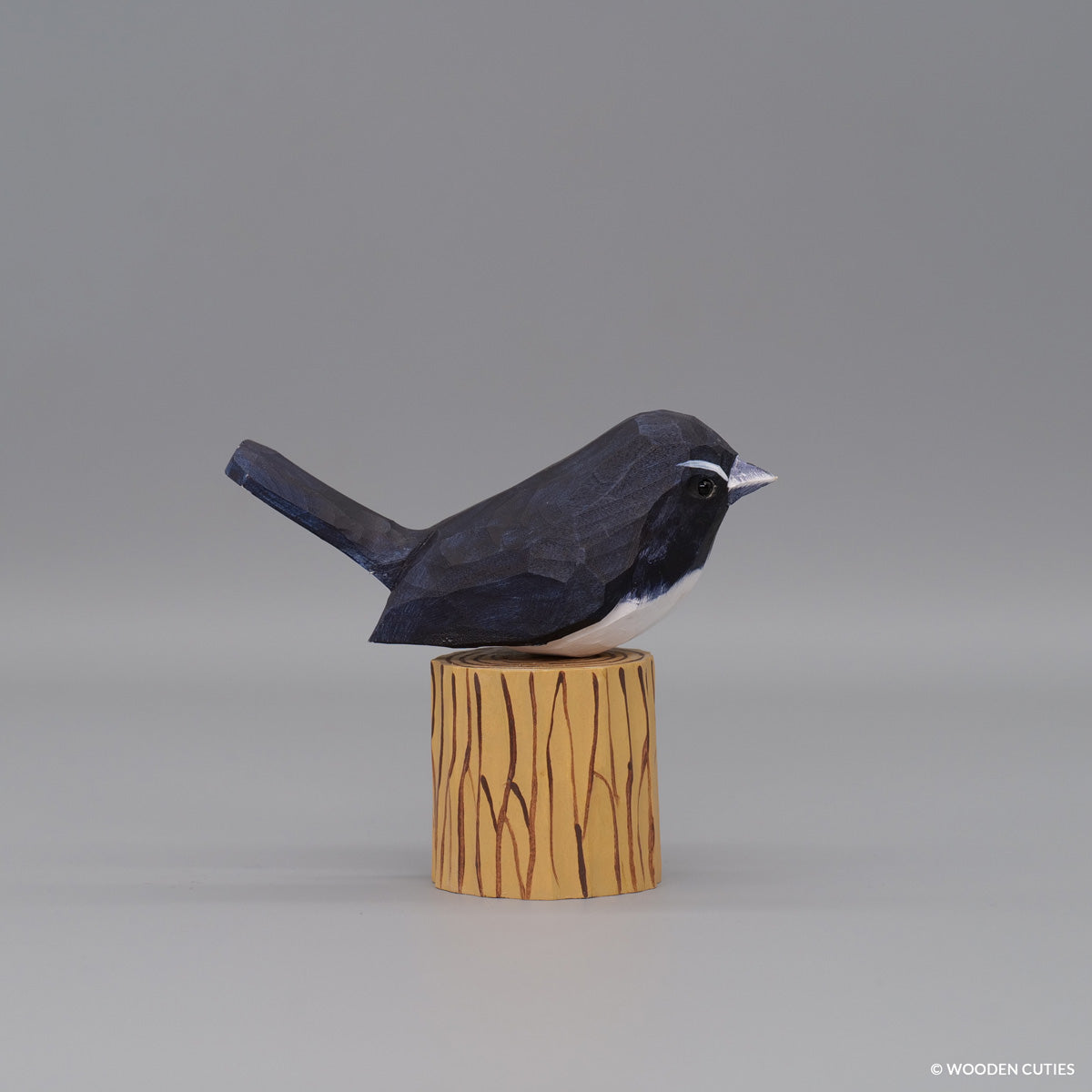 Willie Wagtail