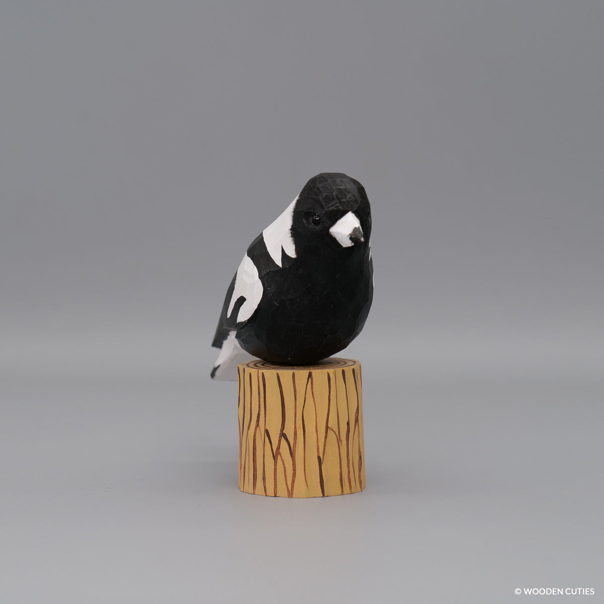 Australian Magpie